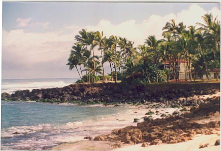 northshorehouse.jpg